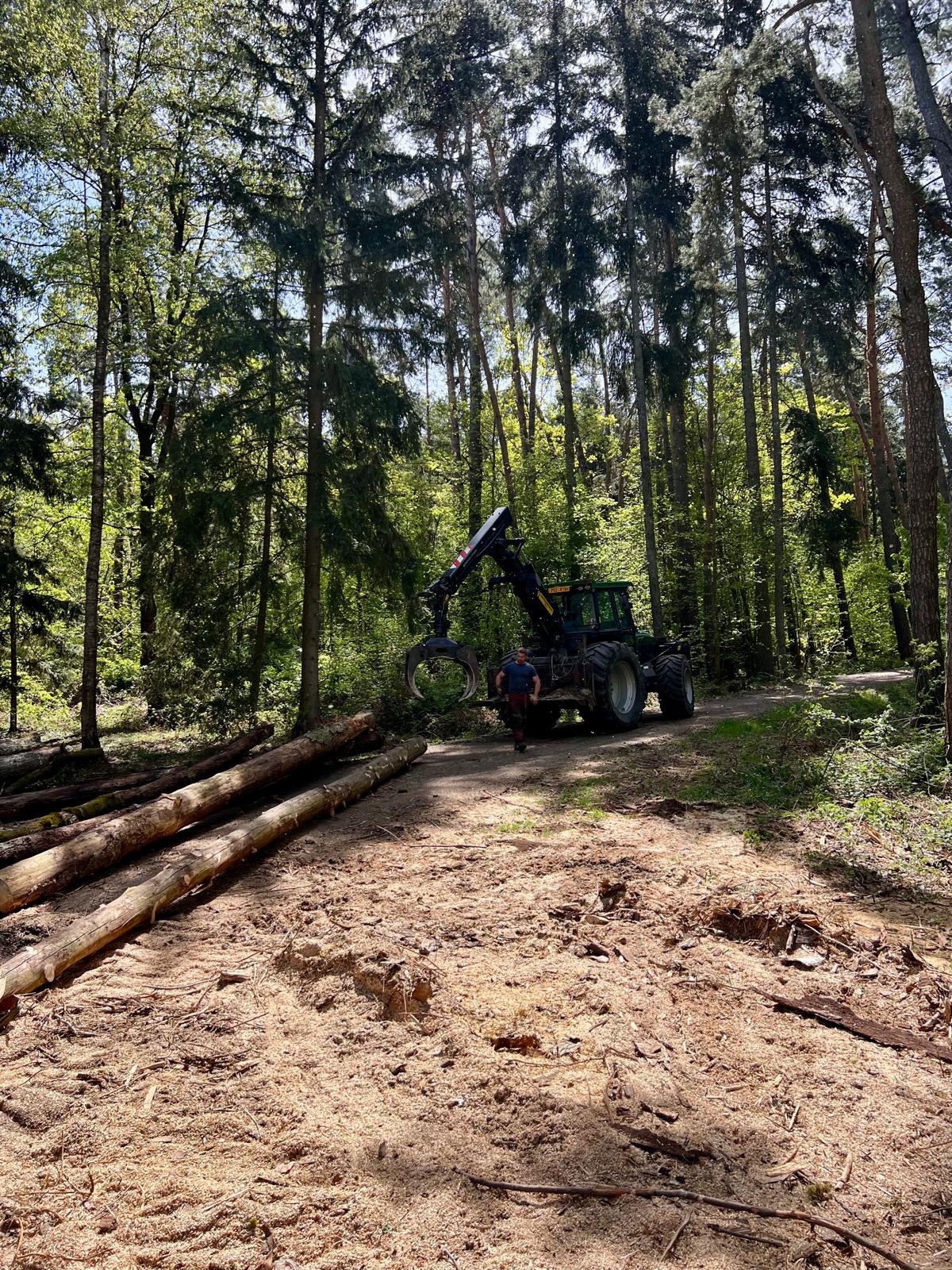 Jak se bezpečně chovat v lese, kde probíhá těžba dřeva?